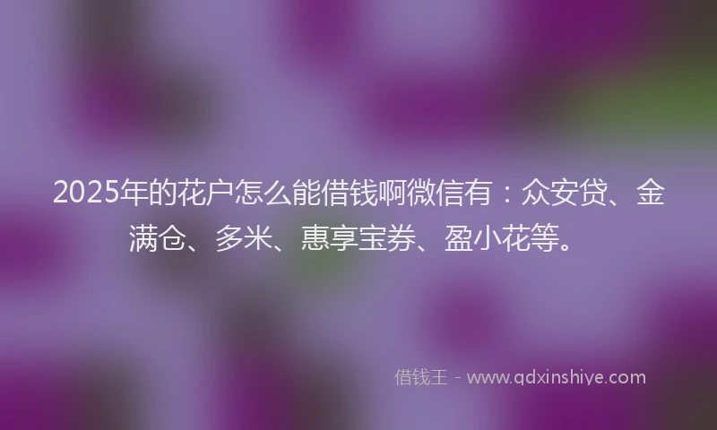 2025年的花户怎么能借钱啊微信有：众安贷、金满仓、多米、惠享宝券、盈小花等。
