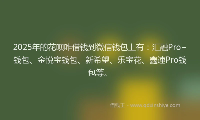 2025年的花呗咋借钱到微信钱包上有：汇融Pro+钱包、金悦宝钱包、新希望、乐宝花、鑫速Pro钱包等。