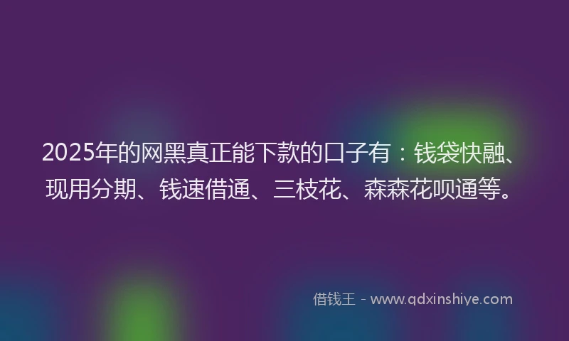2025年的网黑真正能下款的口子有：钱袋快融、现用分期、钱速借通、三枝花、森森花呗通等。