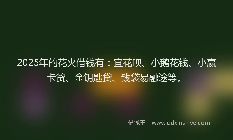 2025年的花火借钱有：宜花呗、小鹅花钱、小赢卡贷、金钥匙贷、钱袋易融途等。