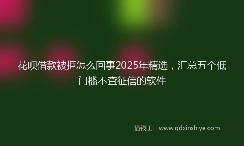 花呗借款被拒怎么回事2025年精选，汇总五个低门槛不查征信的软件