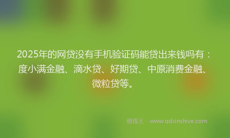 2025年的网贷没有手机验证码能贷出来钱吗有：度小满金融、滴水贷、好期贷、中原消费金融、微粒贷等。