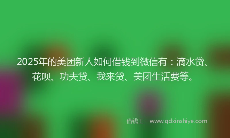 2025年的美团新人如何借钱到微信有：滴水贷、花呗、功夫贷、我来贷、美团生活费等。