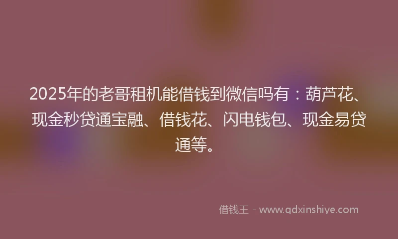 2025年的老哥租机能借钱到微信吗有：葫芦花、现金秒贷通宝融、借钱花、闪电钱包、现金易贷通等。