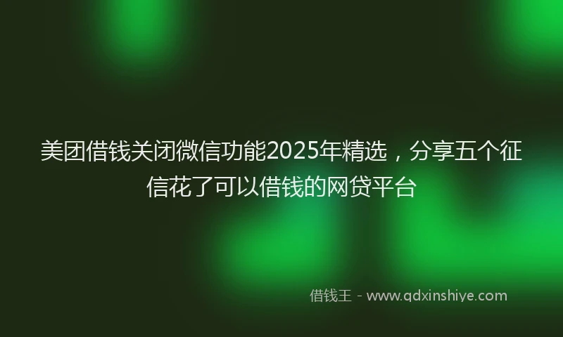 美团借钱关闭微信功能2025年精选，分享五个征信花了可以借钱的网贷平台