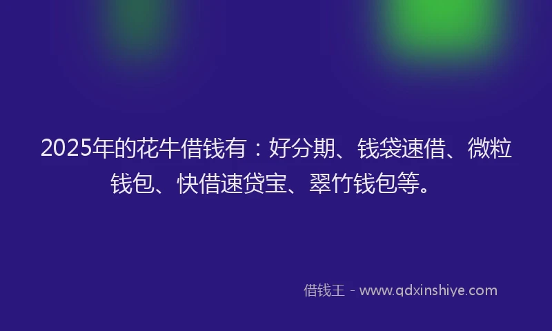 2025年的花牛借钱有：好分期、钱袋速借、微粒钱包、快借速贷宝、翠竹钱包等。
