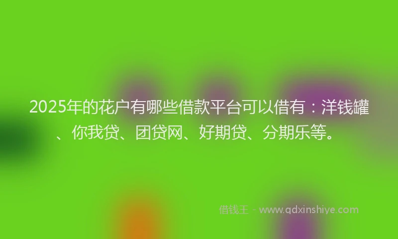 2025年的花户有哪些借款平台可以借有：洋钱罐、你我贷、团贷网、好期贷、分期乐等。