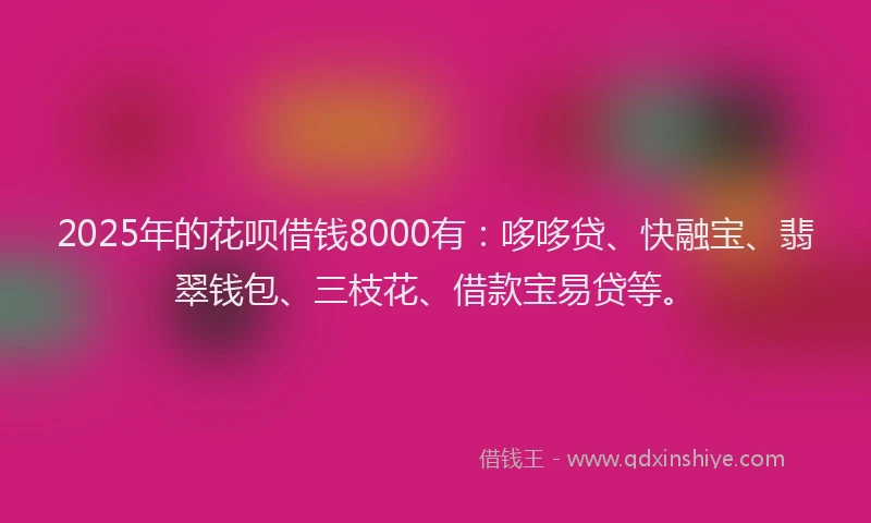 2025年的花呗借钱8000有：哆哆贷、快融宝、翡翠钱包、三枝花、借款宝易贷等。