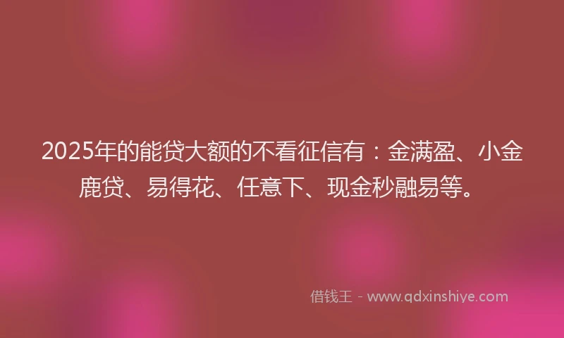 2025年的能贷大额的不看征信有：金满盈、小金鹿贷、易得花、任意下、现金秒融易等。
