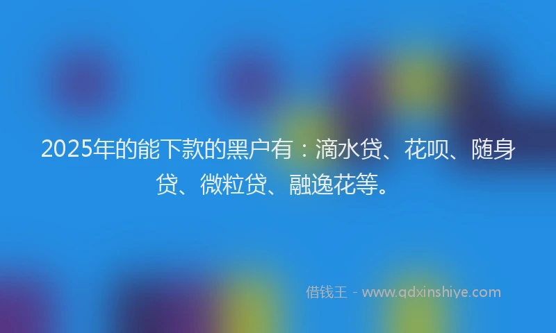 2025年的能下款的黑户有：滴水贷、花呗、随身贷、微粒贷、融逸花等。