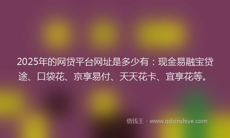 2025年的网贷平台网址是多少有：现金易融宝贷途、口袋花、京享易付、天天花卡、宜享花等。