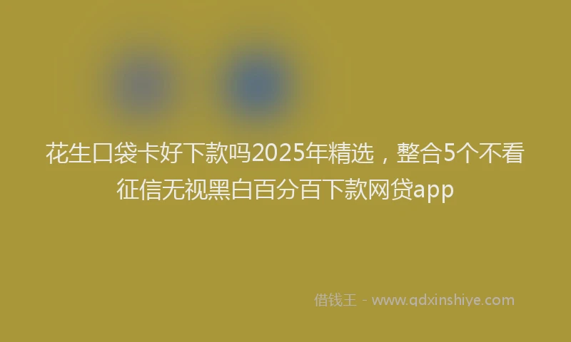 花生口袋卡好下款吗2025年精选，整合5个不看征信无视黑白百分百下款网贷app