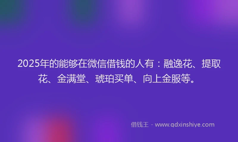 2025年的能够在微信借钱的人有：融逸花、提取花、金满堂、琥珀买单、向上金服等。