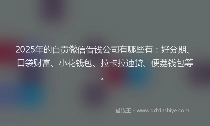 2025年的自贡微信借钱公司有哪些有：好分期、口袋财富、小花钱包、拉卡拉速贷、便荔钱包等。