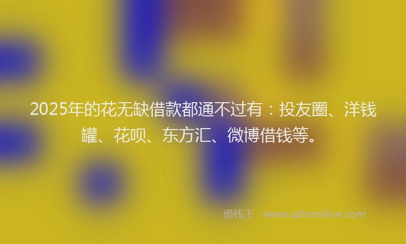 2025年的花无缺借款都通不过有：投友圈、洋钱罐、花呗、东方汇、微博借钱等。