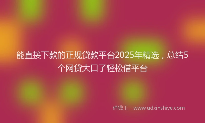 能直接下款的正规贷款平台2025年精选，总结5个网贷大口子轻松借平台