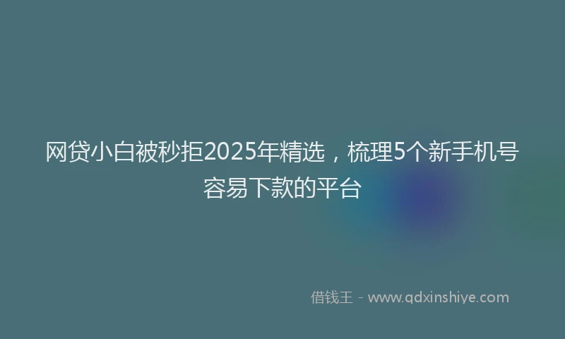 网贷小白被秒拒2025年精选，梳理5个新手机号容易下款的平台