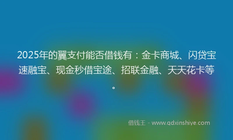 2025年的翼支付能否借钱有：金卡商城、闪贷宝速融宝、现金秒借宝途、招联金融、天天花卡等。