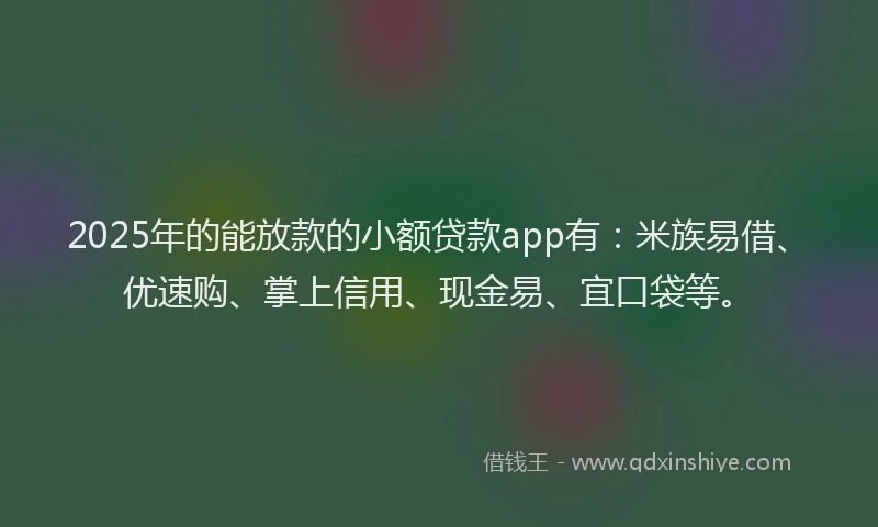 2025年的能放款的小额贷款app有：米族易借、优速购、掌上信用、现金易、宜口袋等。