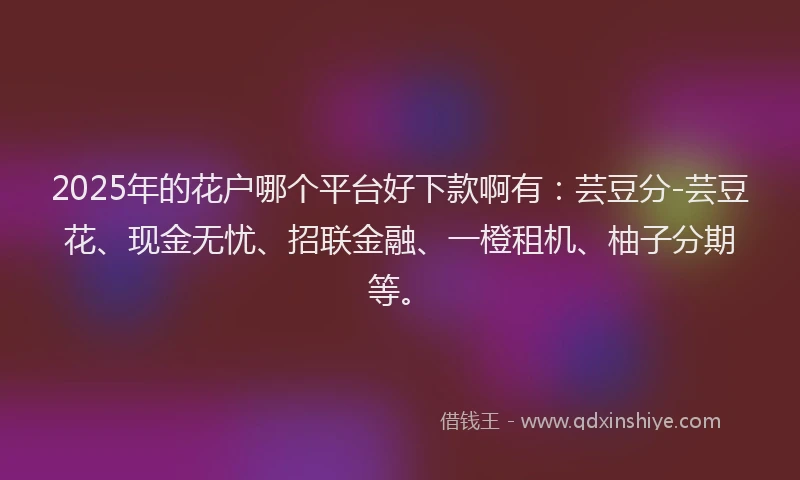 2025年的花户哪个平台好下款啊有：芸豆分-芸豆花、现金无忧、招联金融、一橙租机、柚子分期等。