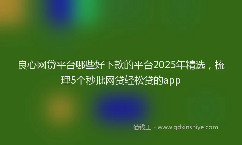 良心网贷平台哪些好下款的平台2025年精选，梳理5个秒批网贷轻松贷的app