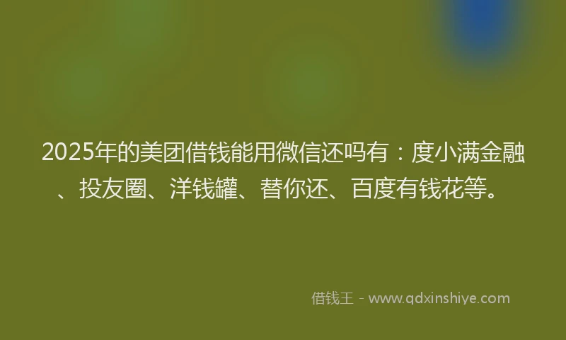 2025年的美团借钱能用微信还吗有：度小满金融、投友圈、洋钱罐、替你还、百度有钱花等。