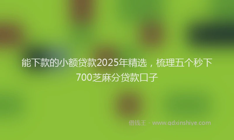 能下款的小额贷款2025年精选，梳理五个秒下700芝麻分贷款口子