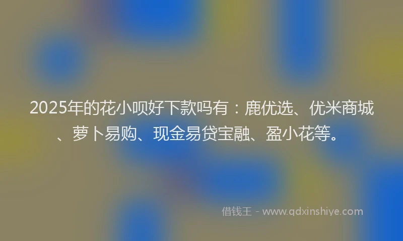 2025年的花小呗好下款吗有：鹿优选、优米商城、萝卜易购、现金易贷宝融、盈小花等。