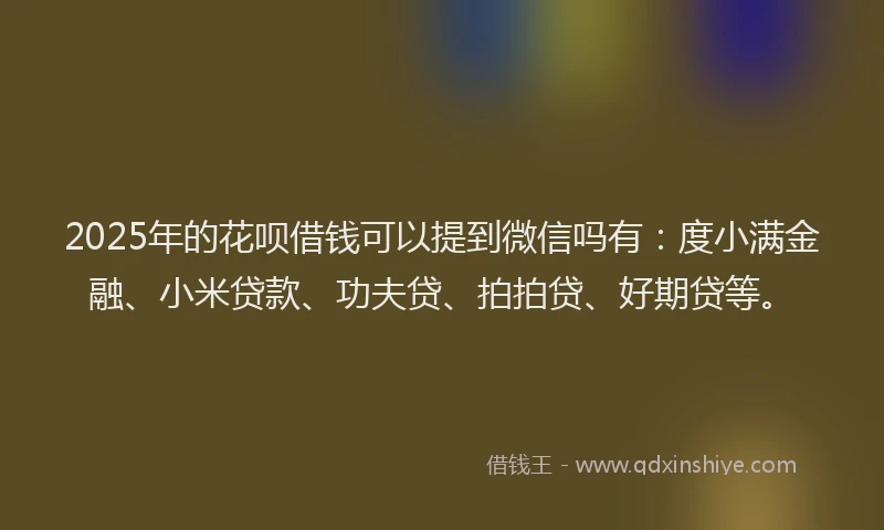 2025年的花呗借钱可以提到微信吗有：度小满金融、小米贷款、功夫贷、拍拍贷、好期贷等。