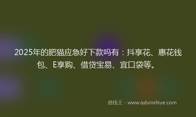 2025年的肥猫应急好下款吗有：抖享花、惠花钱包、E享购、借贷宝易、宜口袋等。