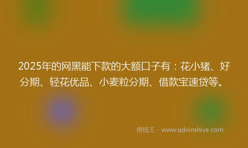 2025年的网黑能下款的大额口子有：花小猪、好分期、轻花优品、小麦粒分期、借款宝速贷等。