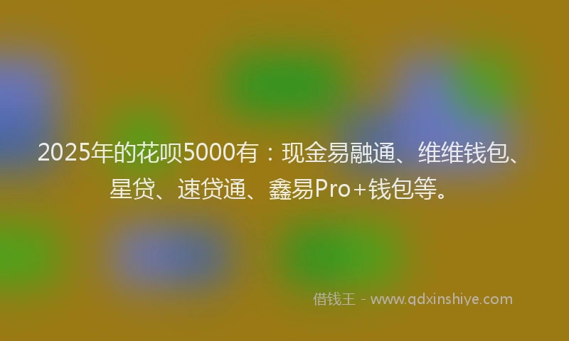 2025年的花呗5000有：现金易融通、维维钱包、星贷、速贷通、鑫易Pro+钱包等。