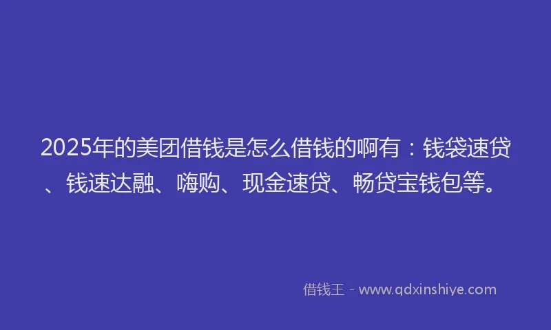 2025年的美团借钱是怎么借钱的啊有：钱袋速贷、钱速达融、嗨购、现金速贷、畅贷宝钱包等。