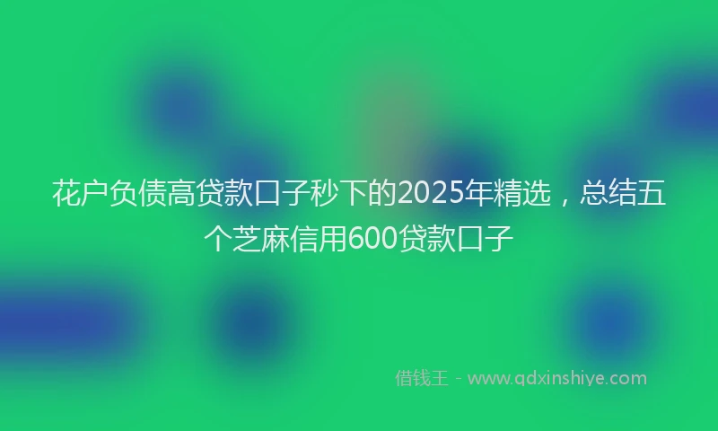 花户负债高贷款口子秒下的2025年精选，总结五个芝麻信用600贷款口子