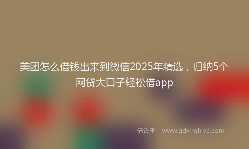 美团怎么借钱出来到微信2025年精选，归纳5个网贷大口子轻松借app
