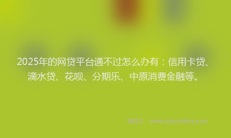 2025年的网贷平台通不过怎么办有：信用卡贷、滴水贷、花呗、分期乐、中原消费金融等。