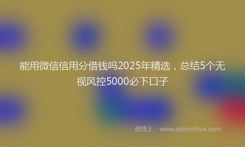 能用微信信用分借钱吗2025年精选，总结5个无视风控5000必下口子
