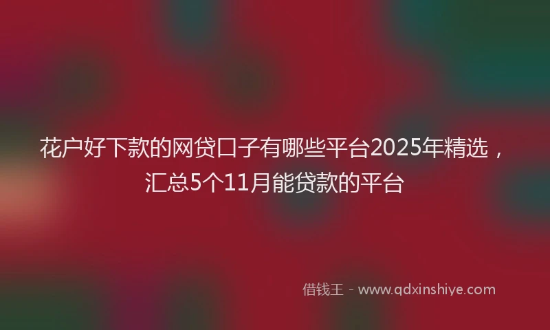 花户好下款的网贷口子有哪些平台2025年精选，汇总5个11月能贷款的平台
