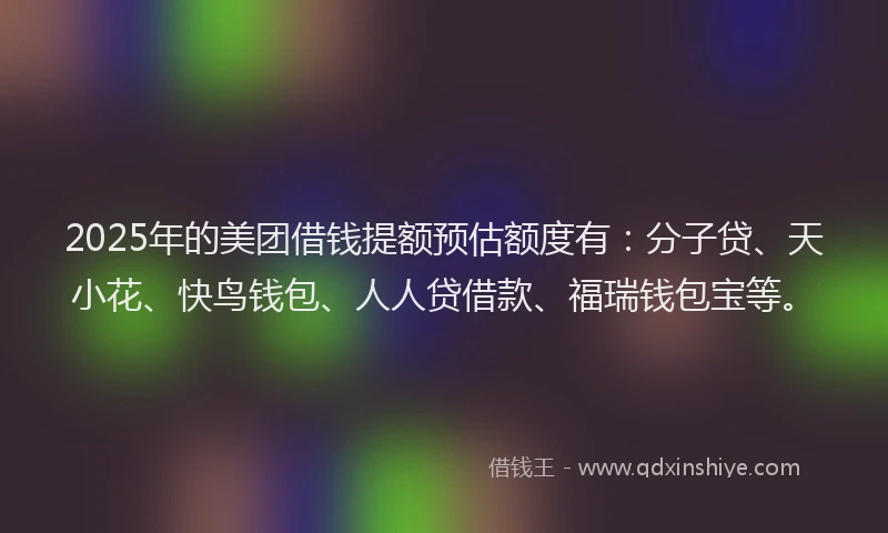 2025年的美团借钱提额预估额度有：分子贷、天小花、快鸟钱包、人人贷借款、福瑞钱包宝等。