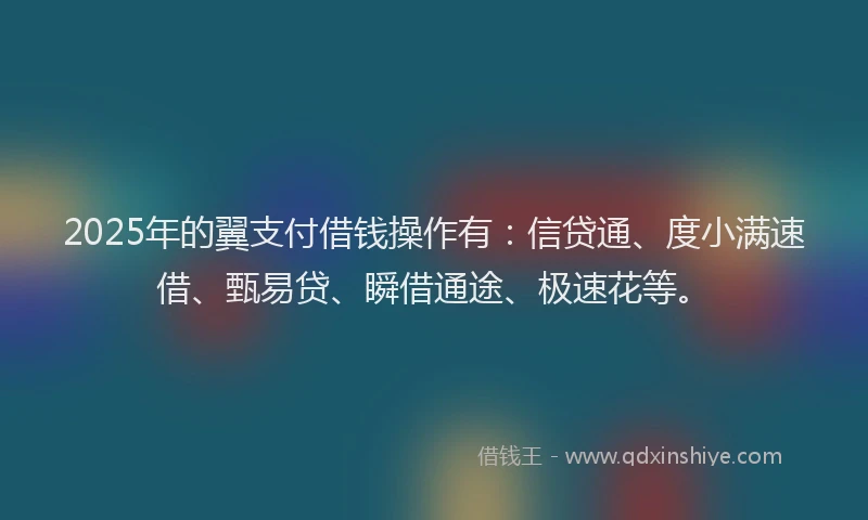 2025年的翼支付借钱操作有：信贷通、度小满速借、甄易贷、瞬借通途、极速花等。