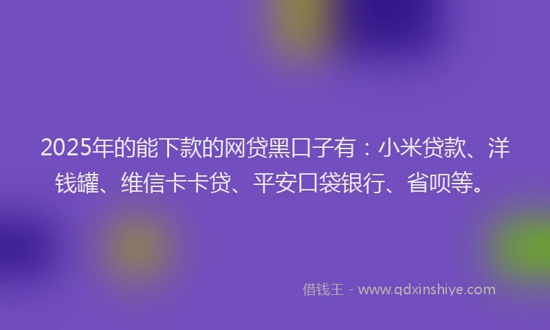 2025年的能下款的网贷黑口子有：小米贷款、洋钱罐、维信卡卡贷、平安口袋银行、省呗等。