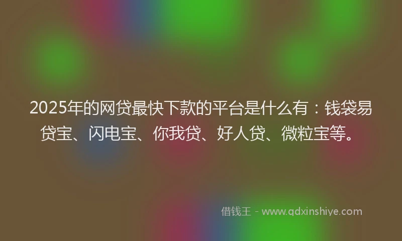 2025年的网贷最快下款的平台是什么有：钱袋易贷宝、闪电宝、你我贷、好人贷、微粒宝等。