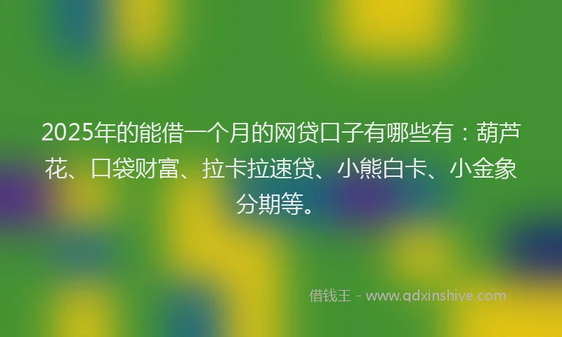 2025年的能借一个月的网贷口子有哪些有：葫芦花、口袋财富、拉卡拉速贷、小熊白卡、小金象分期等。