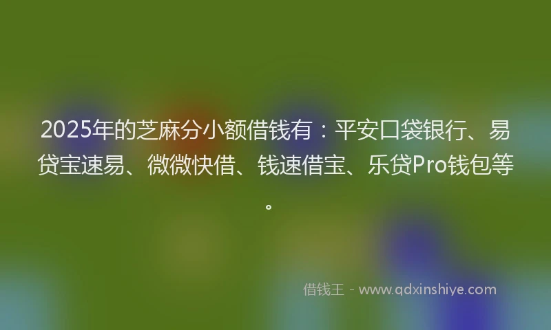 2025年的芝麻分小额借钱有：平安口袋银行、易贷宝速易、微微快借、钱速借宝、乐贷Pro钱包等。