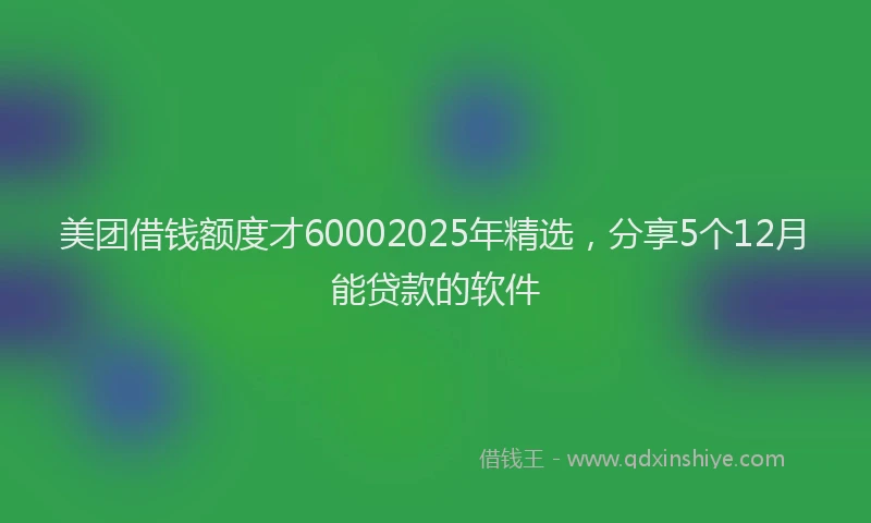 美团借钱额度才60002025年精选，分享5个12月能贷款的软件