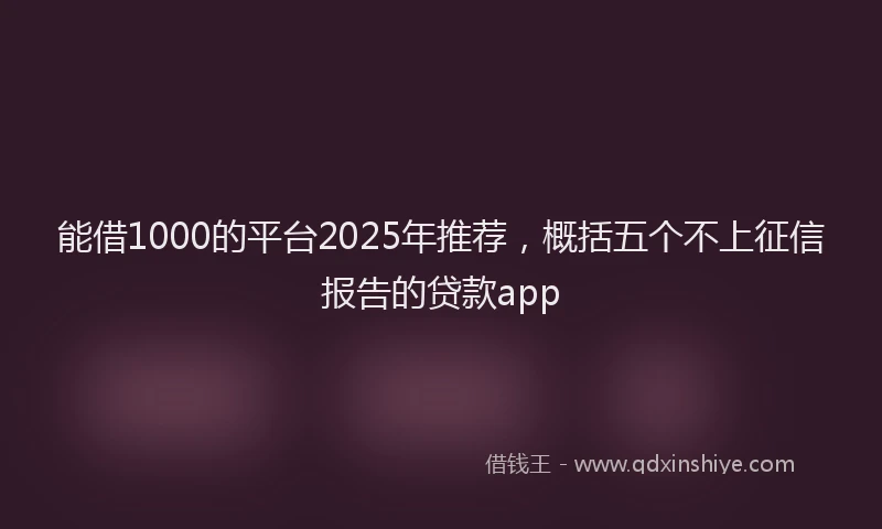 能借1000的平台2025年推荐，概括五个不上征信报告的贷款app