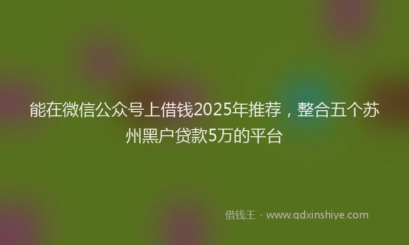 能在微信公众号上借钱2025年推荐，整合五个苏州黑户贷款5万的平台