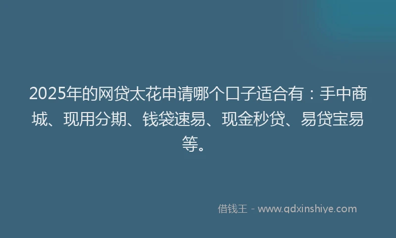 2025年的网贷太花申请哪个口子适合有：手中商城、现用分期、钱袋速易、现金秒贷、易贷宝易等。