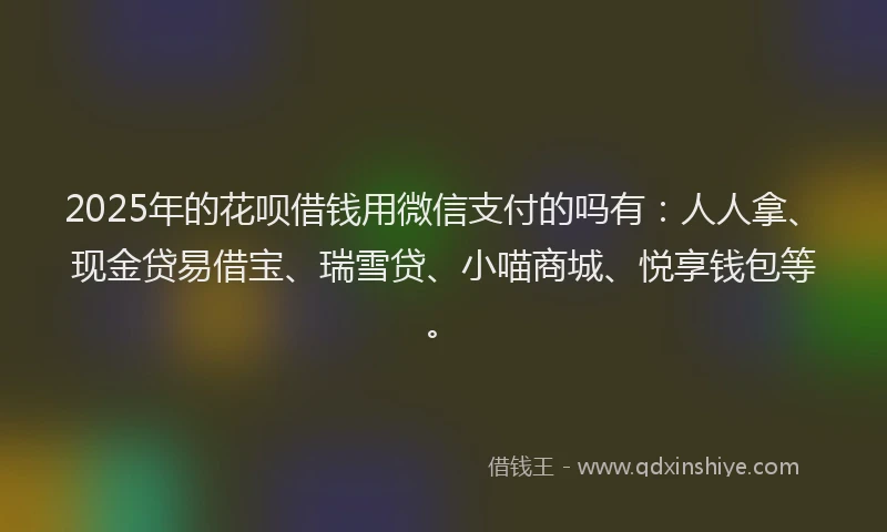 2025年的花呗借钱用微信支付的吗有：人人拿、现金贷易借宝、瑞雪贷、小喵商城、悦享钱包等。