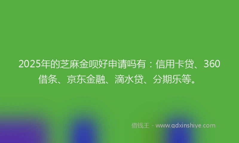 2025年的芝麻金呗好申请吗有：信用卡贷、360借条、京东金融、滴水贷、分期乐等。
